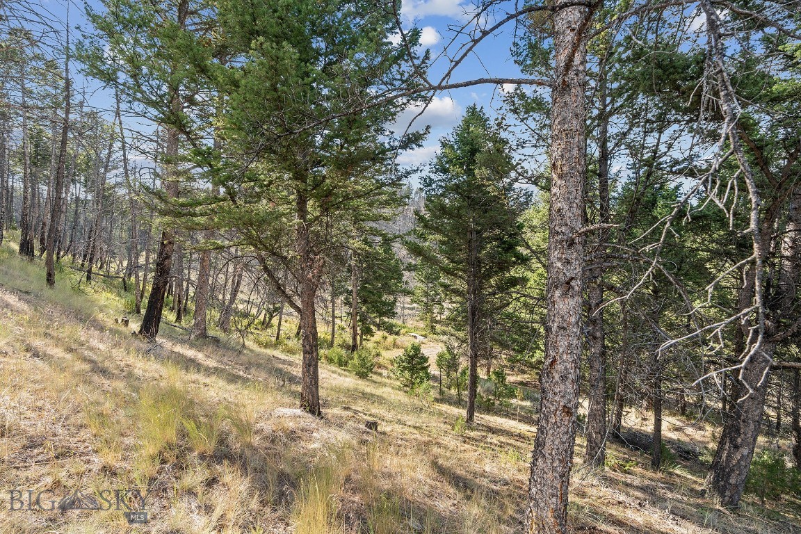 Whitehall, Montana 59759, United States, 1 Bedroom Bedrooms, ,1 BathroomBathrooms,Land,Pending,199261