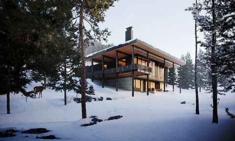 6 Boone Trail 38 Big Sky MT 59716