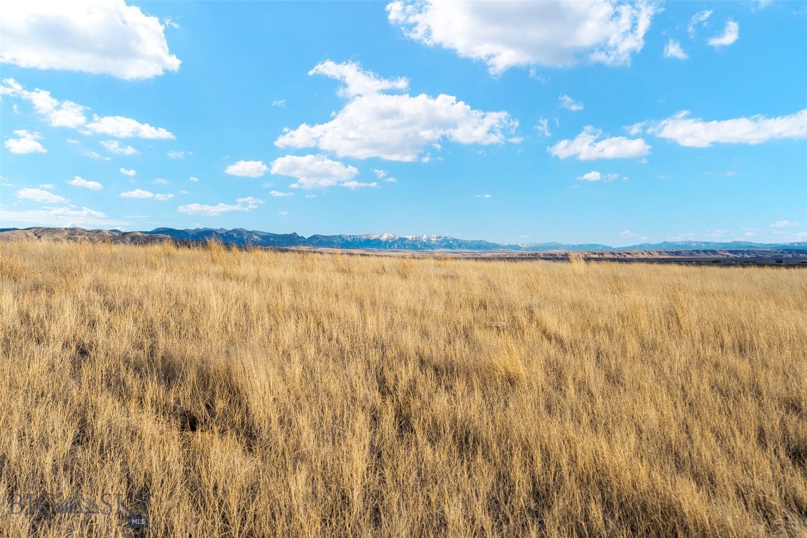 Mountain Vista - Land