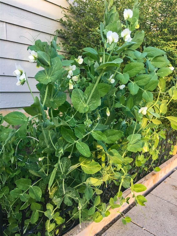 Harvest Hills - Residential