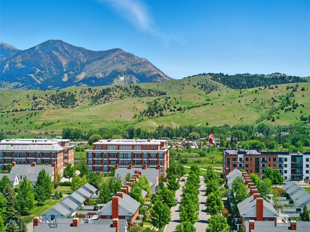 Village Downtown - Residential