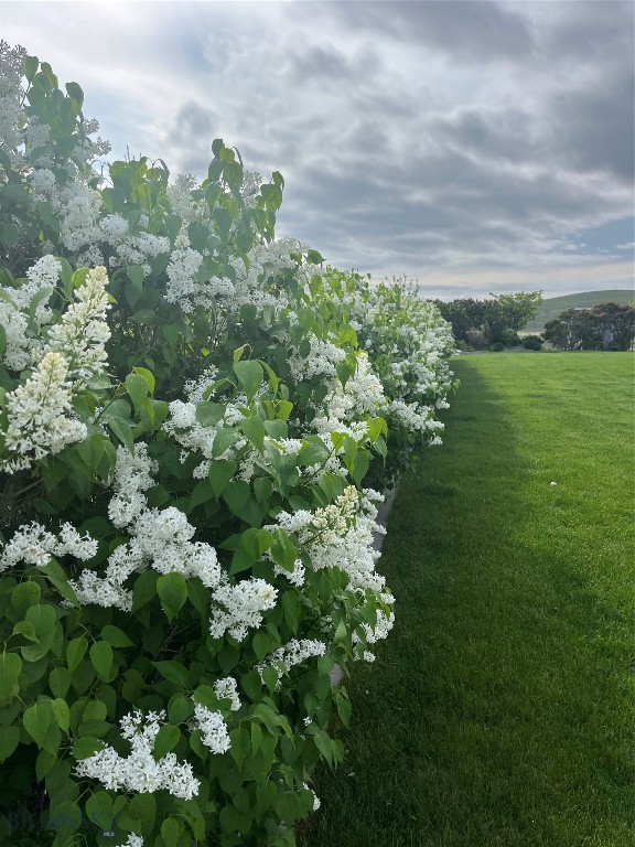 Rolling Glen Ranch - Residential