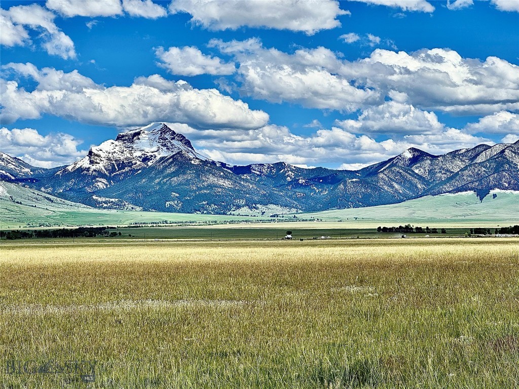 Just off of Highway 287 south of Cameron, MT is this 20+ acre level building site with power already close to the parcel and light deed restrictions to protect everyone's values but NO HOA! The 360 degree views of the Madison Mountains, Tobacco Roots, and the Gravelly Range will give you picturesque sights from every window no matter which way you face your new home. Located 11 miles south of Ennis you are less than 15 minutes to fishing in the Madison River or traverse further south as you are less than an hour to Yellowstone National Park. Also seller has granted an easement for access to the state land giving you more space to explore or even just take your dog for a walk. Buy Land!! They aren't making any more of it!! (Photos of elk are on neighboring state land) Lot borders larger acreage on 2 sides with more end of road privacy!