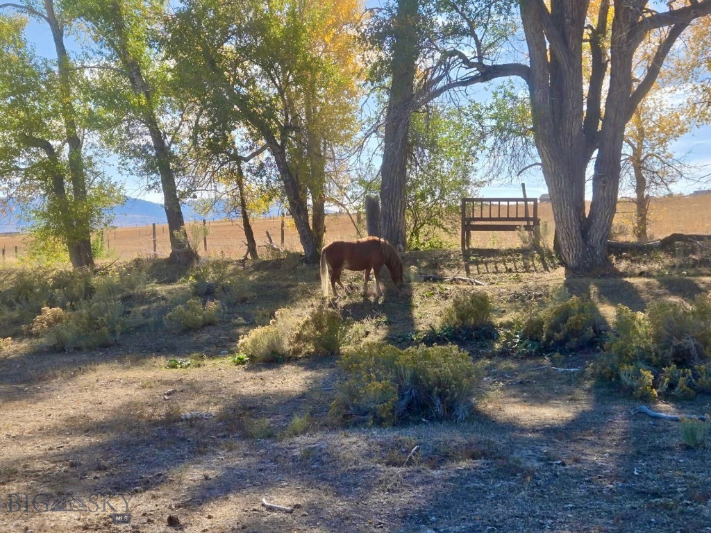 Minor Subdivision - Residential