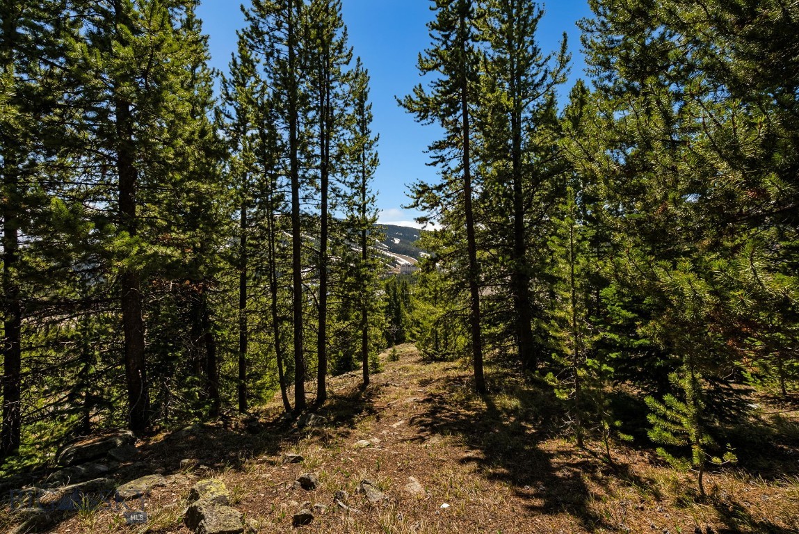 Cascade Sub. - Big Sky - Land