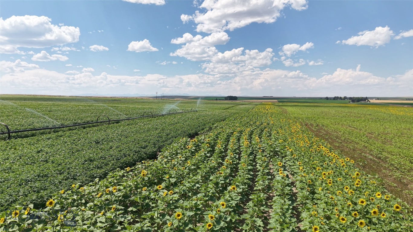 Now available, Starfire Farms spans approximately 82 lush acres between Amsterdam and Churchill, Montana, just 20 minutes west of Bozeman. This unique property offers stunning views of the Spanish Peaks to the south, and the Bridger Mountains rising to the northeast. The land provides exceptional potential for homebuilding, with multiple prime sites positioned to take in spectacular sunsets, rolling topography, and wide-open skies.
The property includes approximately 45 acres of level, irrigated ground, ideal for growing oats, barley, or seed potatoes, and about 37 acres of gently sloping pastureland that follows 1,200 feet of Camp Creek. Irrigation is managed through a shared water agreement with the Low Line Ditch Company, supporting productive agricultural use.
With no covenants and no zoning restrictions, the opportunities here are broad. This property can support residential, equestrian, agricultural use, or even further development. The property can be subdivided and features accessible entry points from both Churchill and Camp Creek Roads. Whether you're envisioning a working farm, an equestrian retreat, or a family compound, the views and varied terrain make it a standout setting.
Additional value comes from current agricultural lease income. Located within the Amsterdam/Churchill School District for elementary grades and served by Manhattan High School, the property is also near Manhattan Christian School for grades 1–12. Besides this 82 acre parcel there is additional 46± and 38± acre parcels.