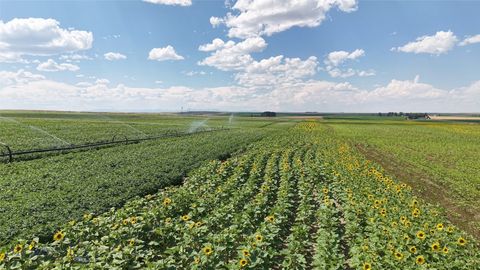 Photo of Tract 5 (82 Acres) Churchill Road, Churchill, MT 59741 (MLS # 404406)