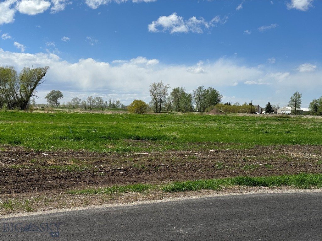 Bridger Shadows East - Land