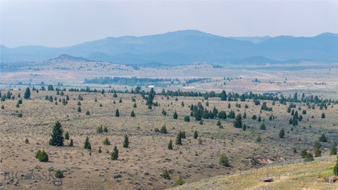 Photo of NA Indian Paintbrush, Butte, MT 59701 (MLS # 413888)