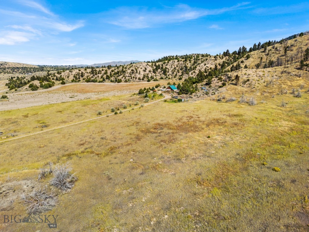 Ponderosa Pines - Land