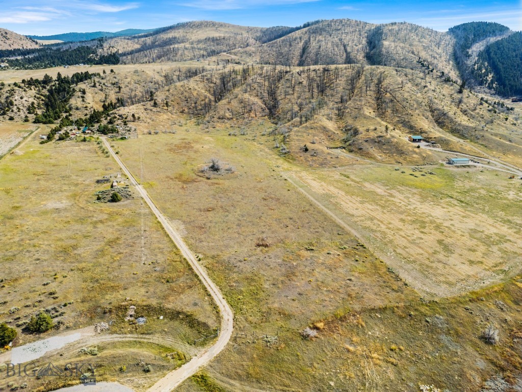 Ponderosa Pines - Land
