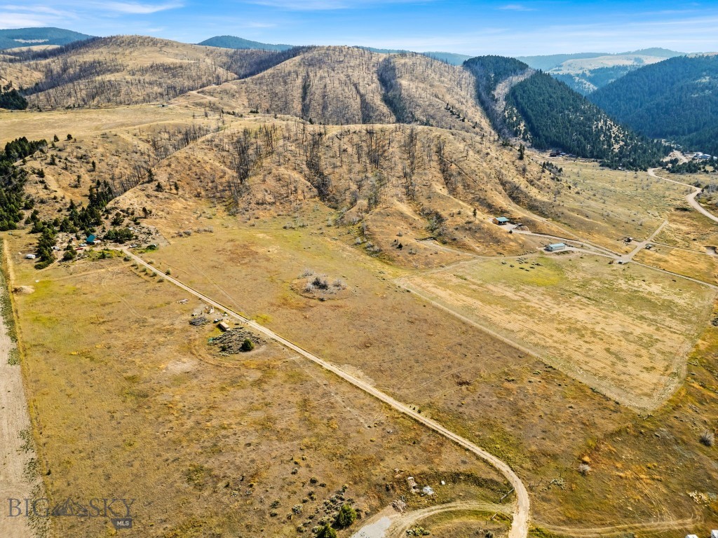Ponderosa Pines - Land