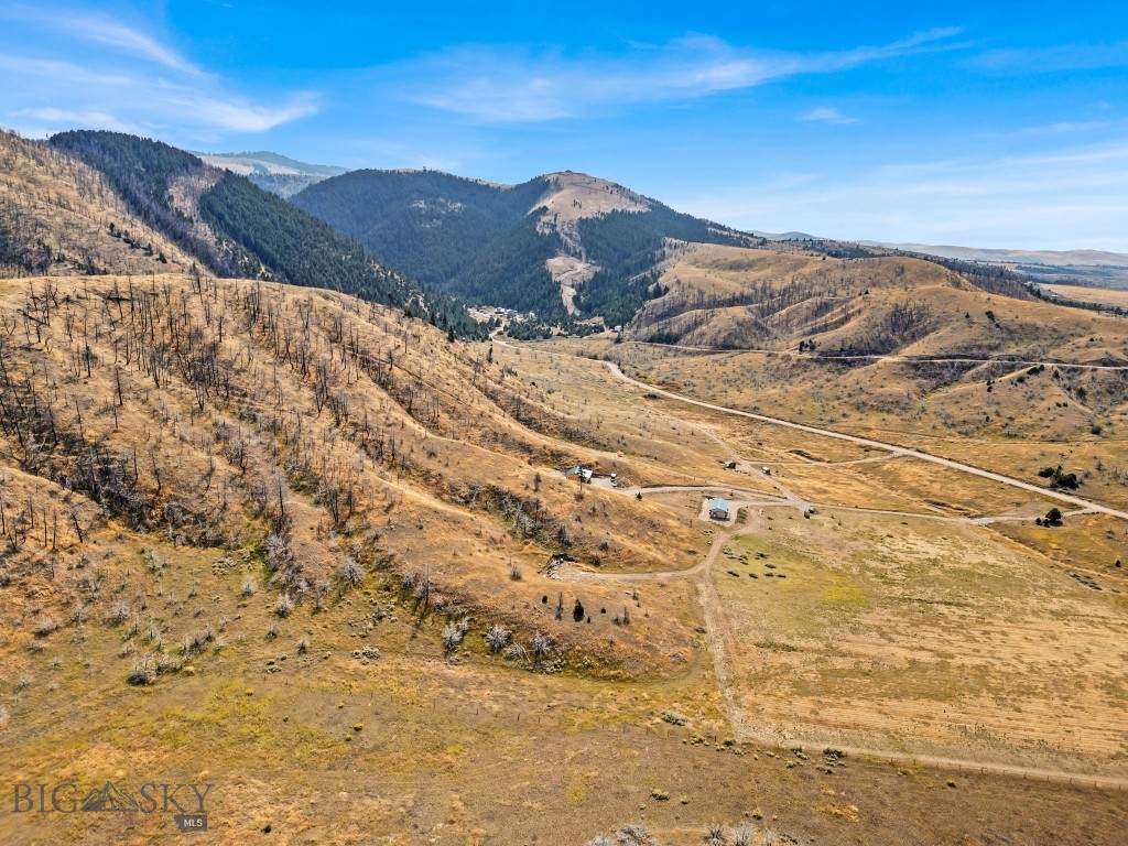 Ponderosa Pines - Land