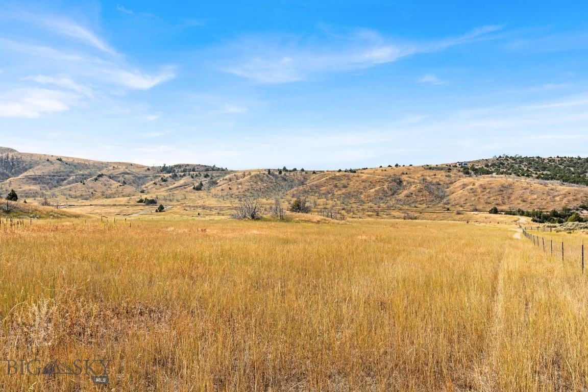Ponderosa Pines - Land