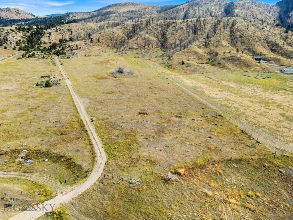 Ponderosa Pines - Land