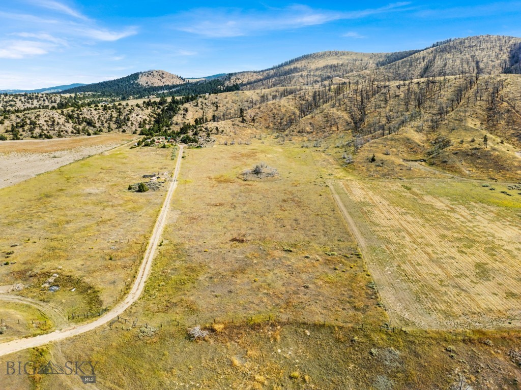 Ponderosa Pines - Land