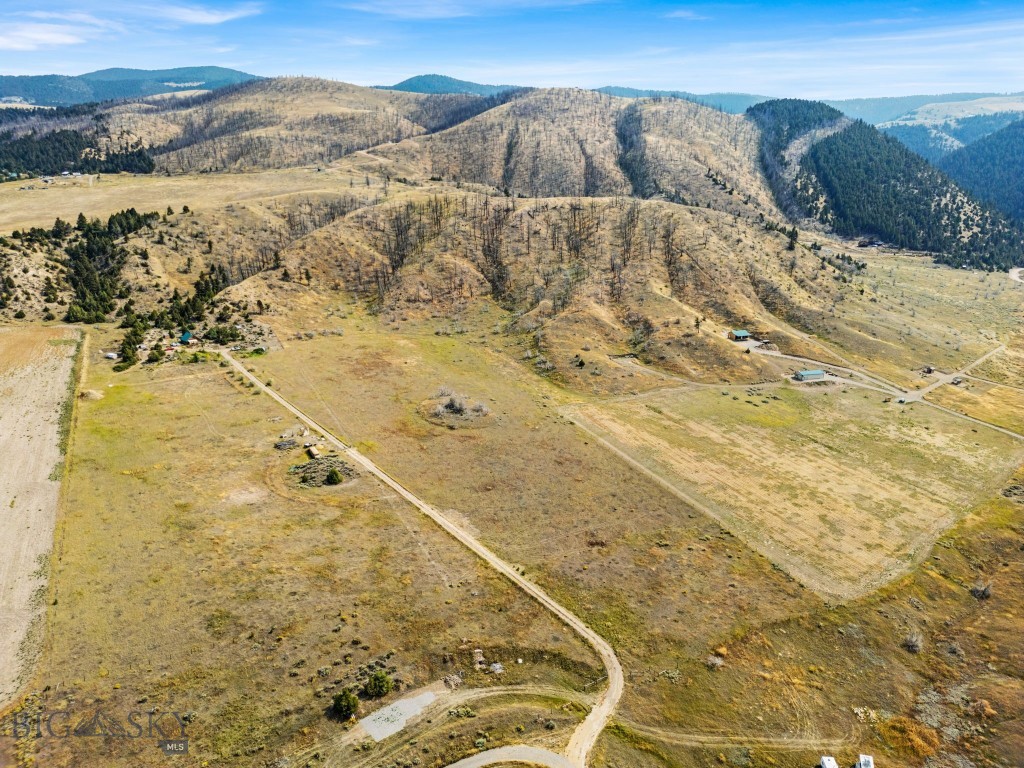 Ponderosa Pines - Land