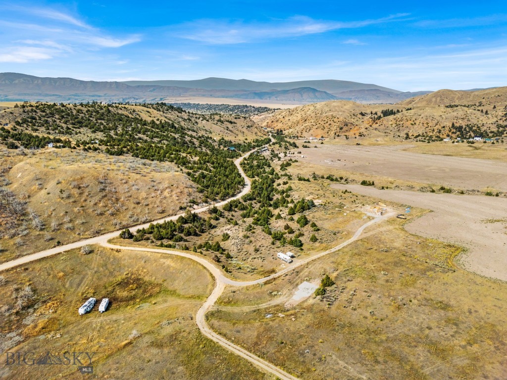 Ponderosa Pines - Land