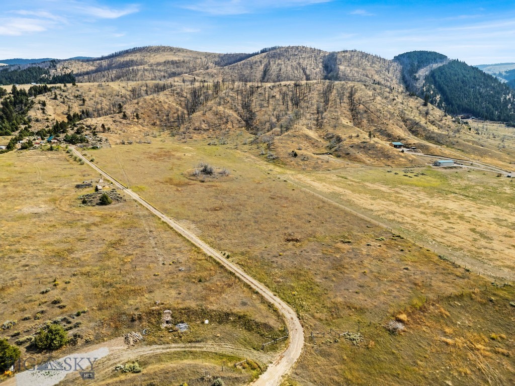 Ponderosa Pines - Land