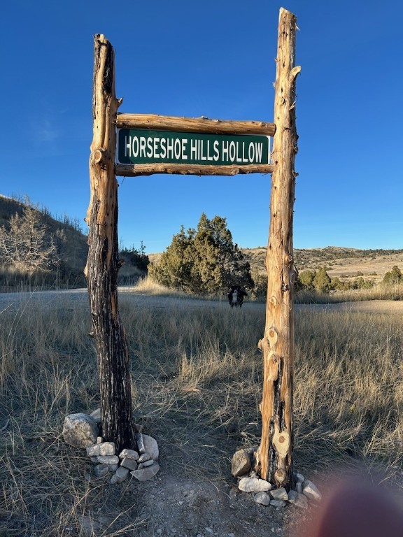 Ponderosa Pines - Land