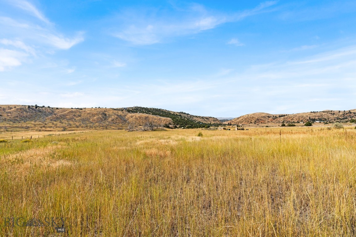 Ponderosa Pines - Land
