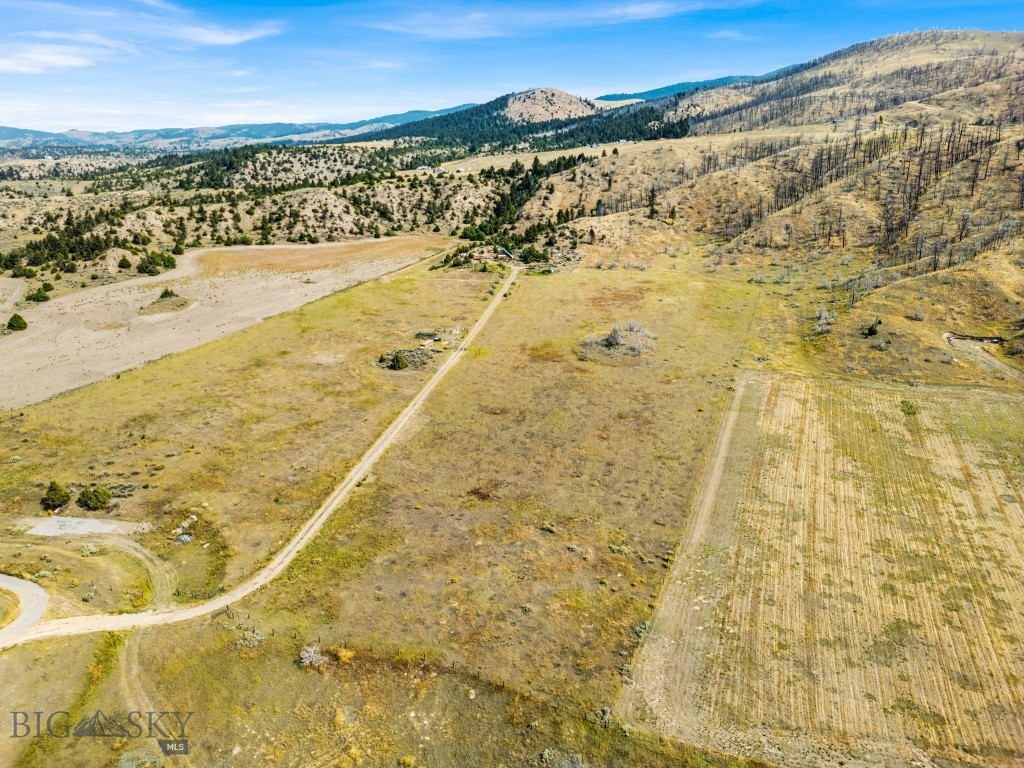 Ponderosa Pines - Land