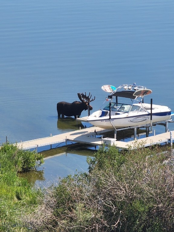 Lake View - Residential