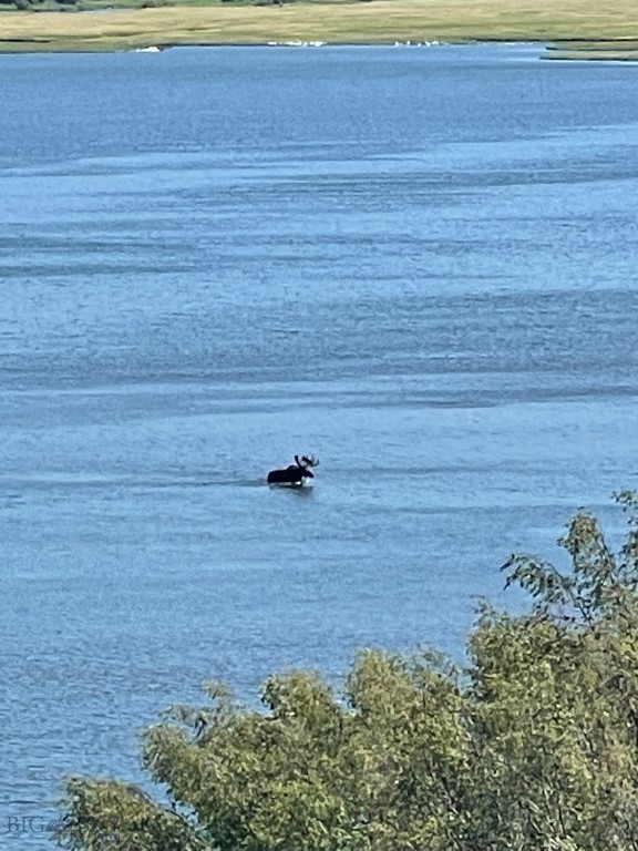 Lake View - Residential