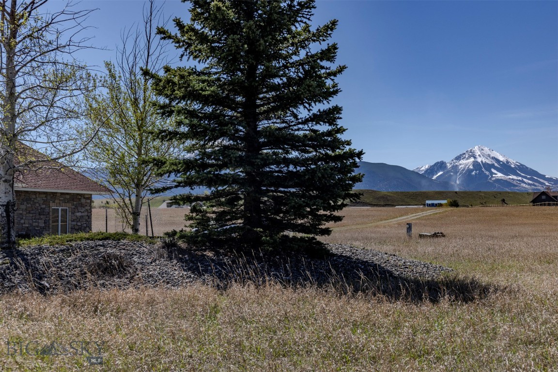 Blue Ribbon Manors - Residential