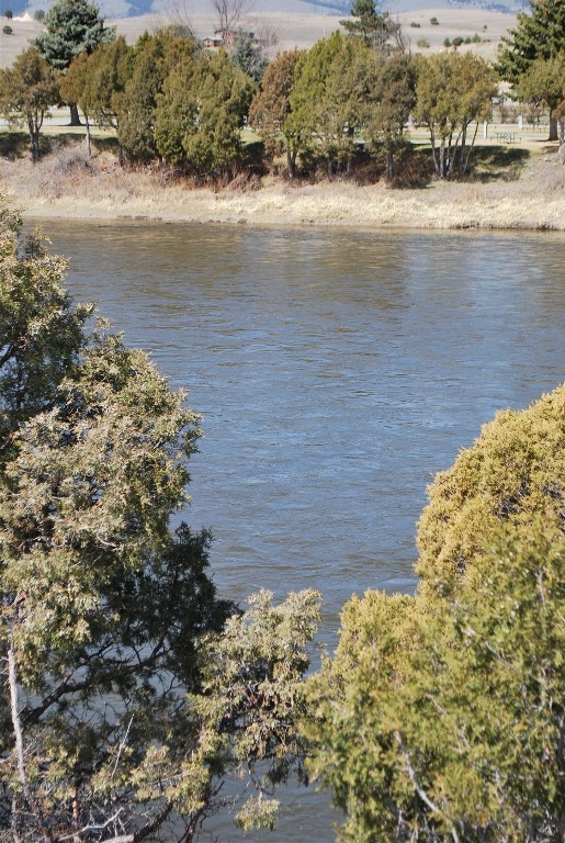 Blue Ribbon Manors - Residential