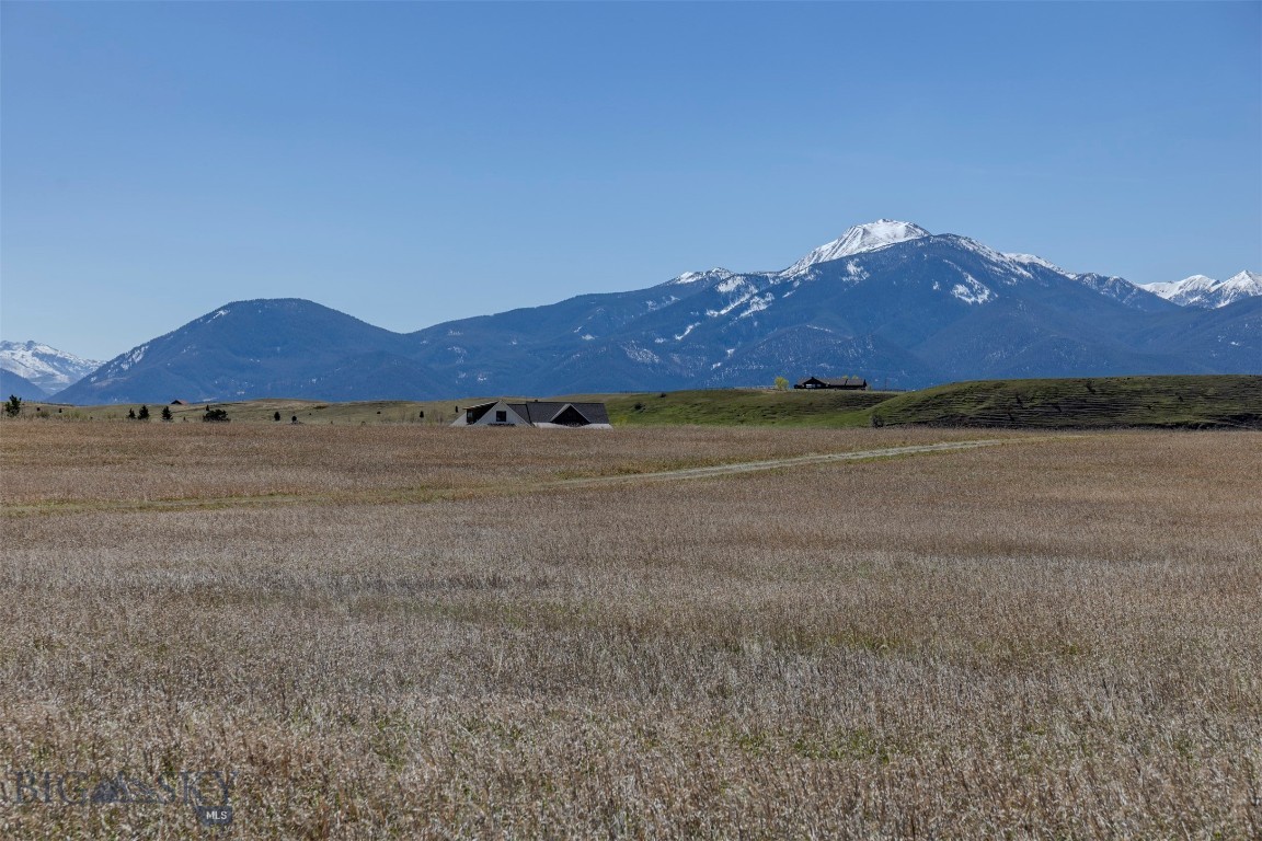 Blue Ribbon Manors - Residential