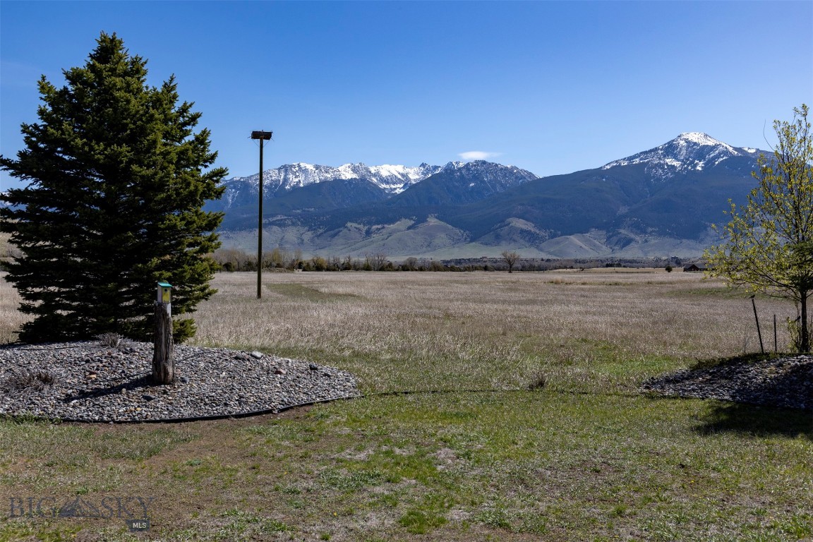 Blue Ribbon Manors - Residential