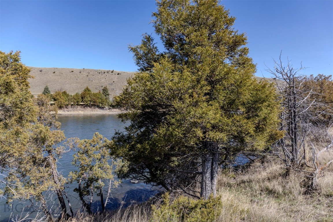 Blue Ribbon Manors - Residential