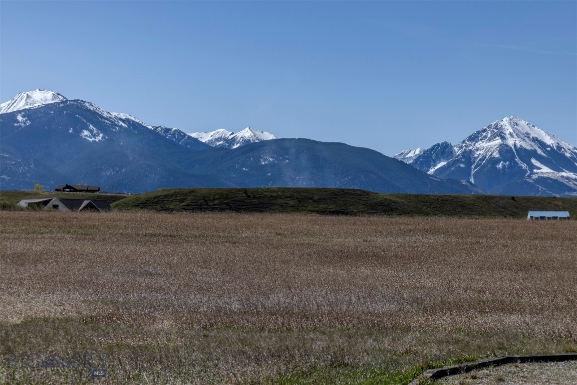 Blue Ribbon Manors - Residential