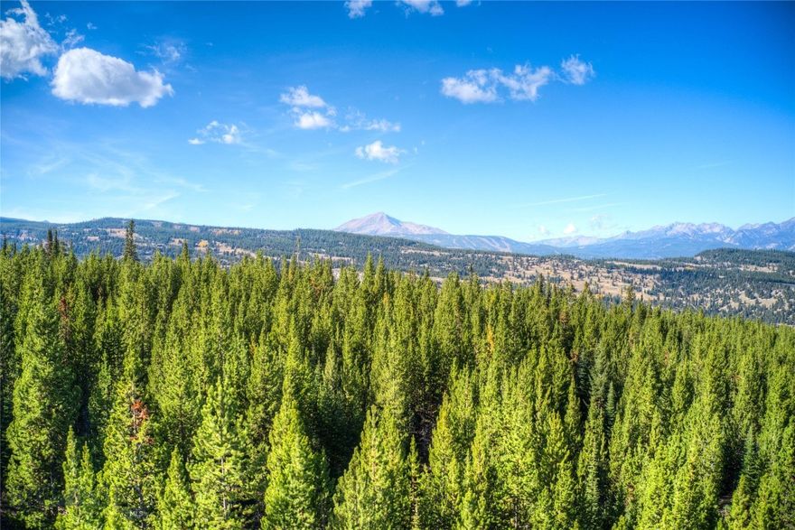 Incredible views of Lone Peak and surrounding ranges on this 20 acre lot in Beaver Creek West. It's gently sloping topography offers many options for build sites.  The land is richly forested with expansive views of the Spanish Peaks, Gallatin Canyon and Lone Peak. In the gated community of Beaver Creek, the property is located only 15 minutes from Big Sky Town Center and a short drive to Lone Peak High School and Ophir Elementary.