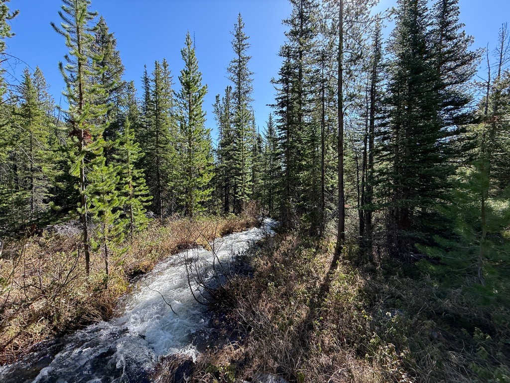 Other - Land