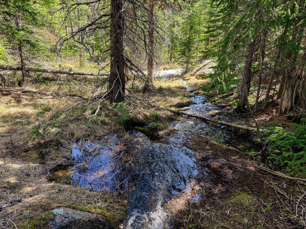 970 Lower Clear Creek Trail