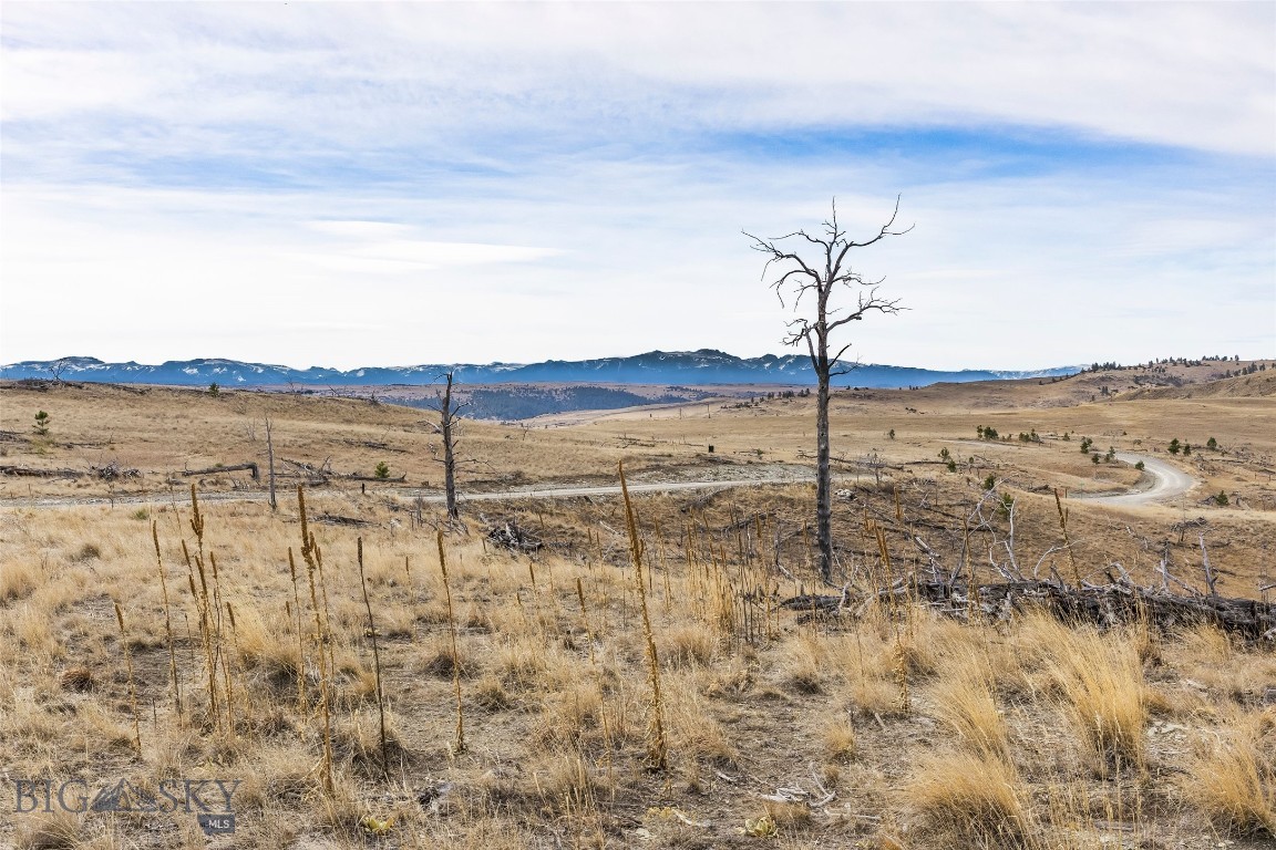 Minor Subdivision - Land