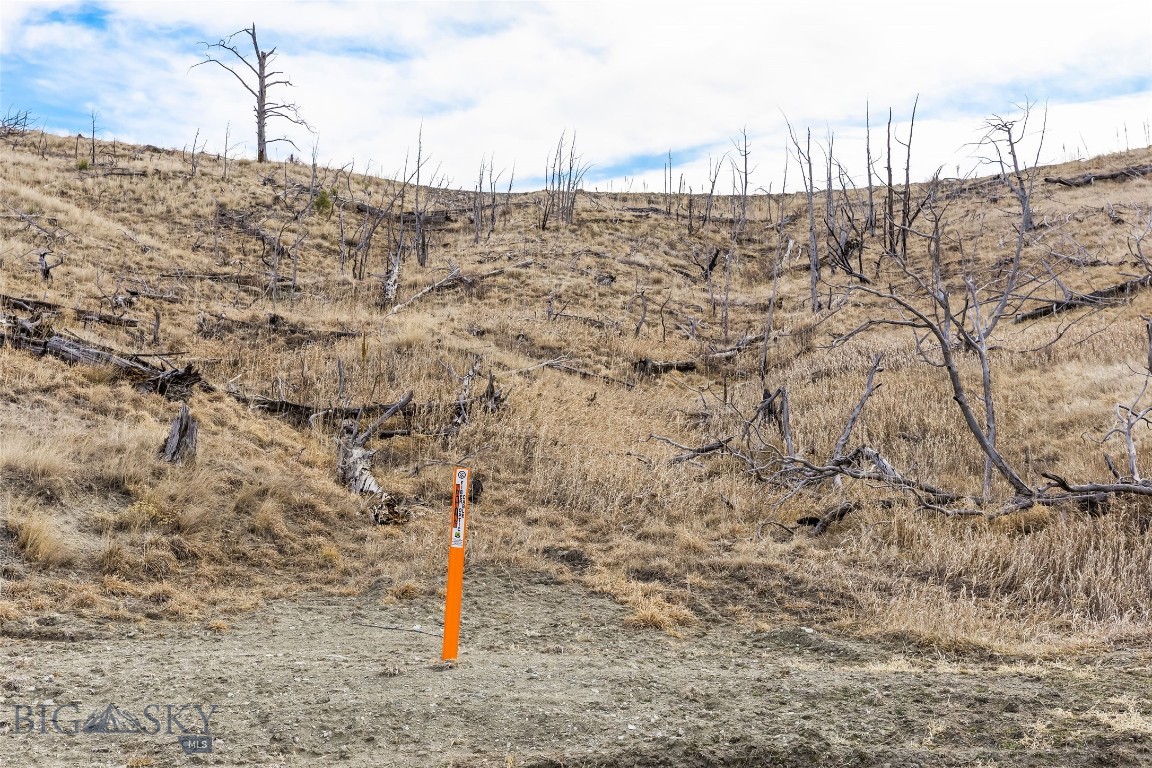 Minor Subdivision - Land