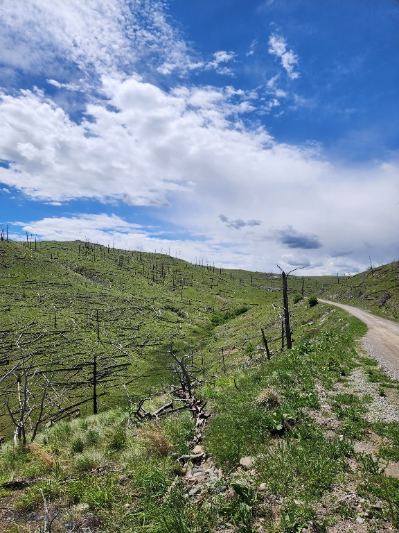 Minor Subdivision - Land