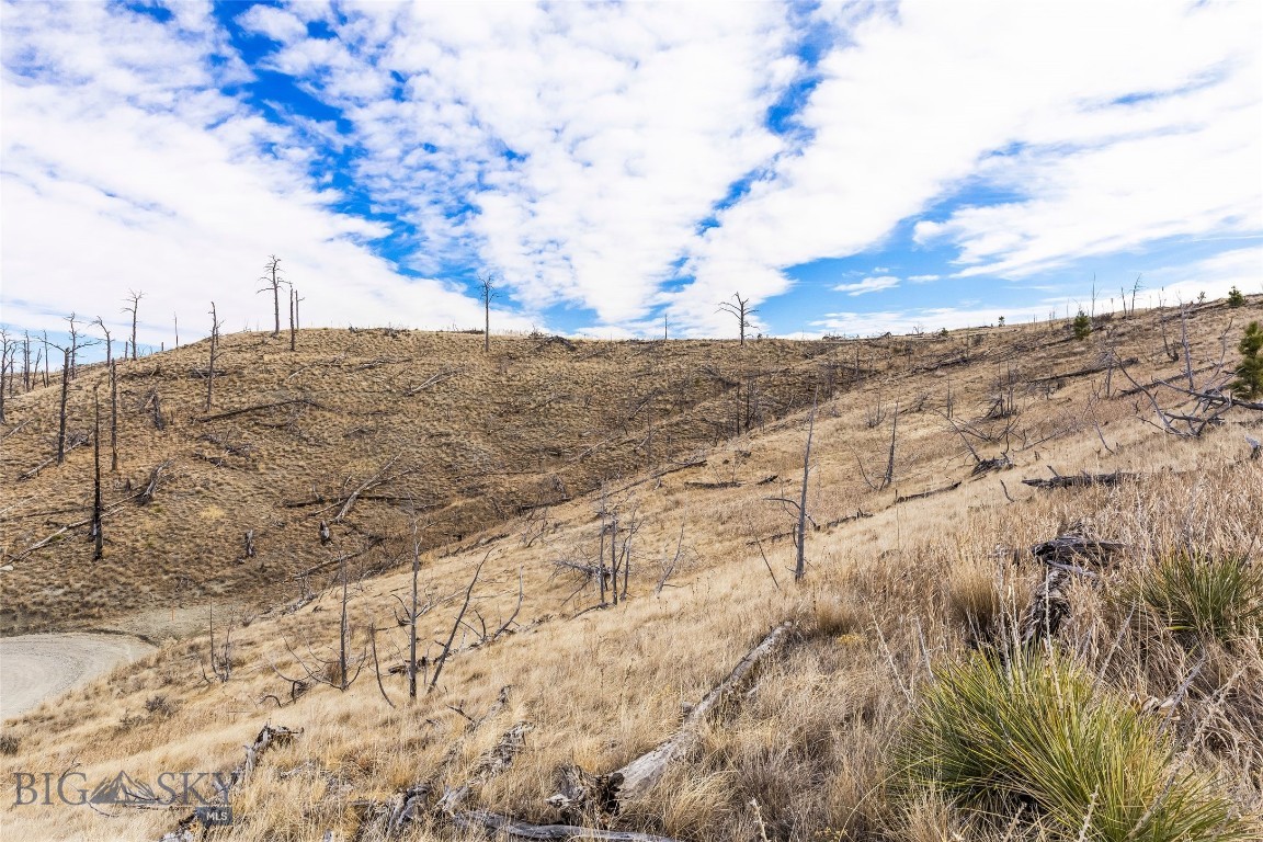 Minor Subdivision - Land