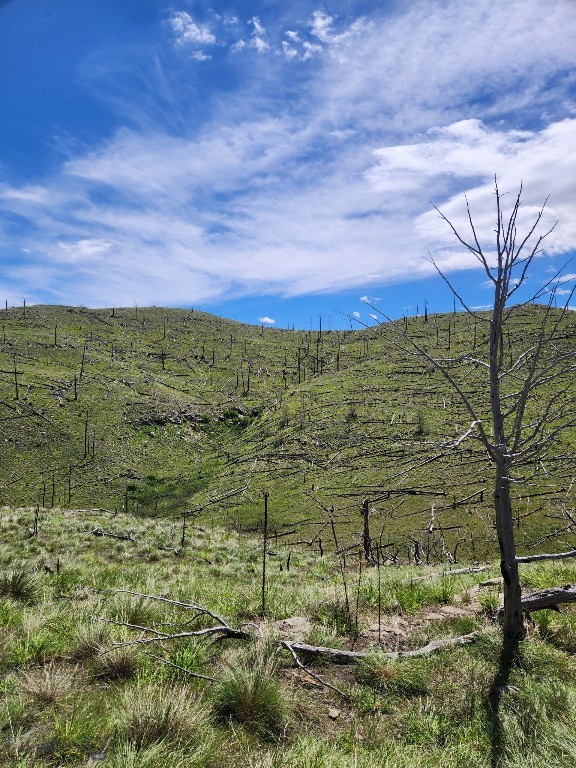 Minor Subdivision - Land