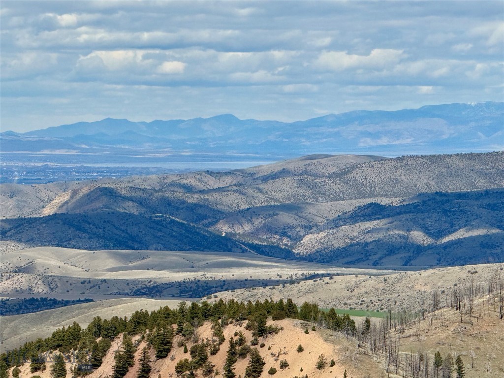Ponderosa Pines - Residential