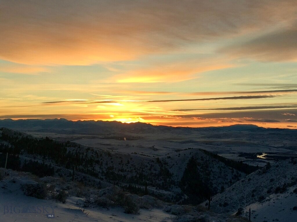 Ponderosa Pines - Residential