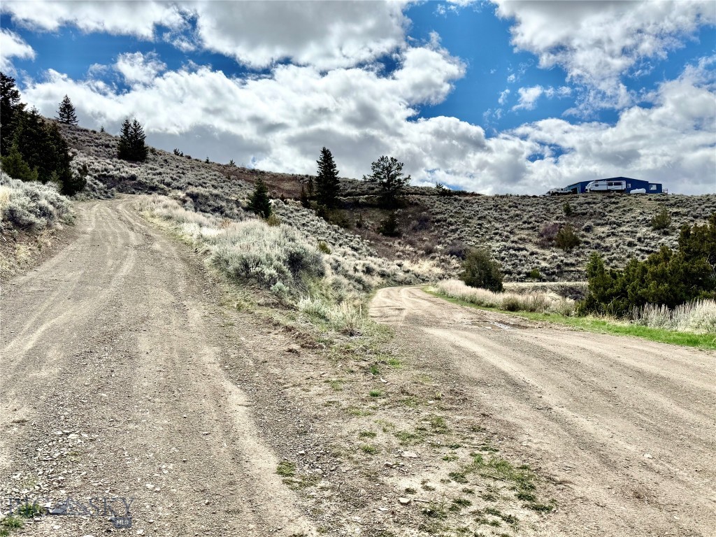 Ponderosa Pines - Residential