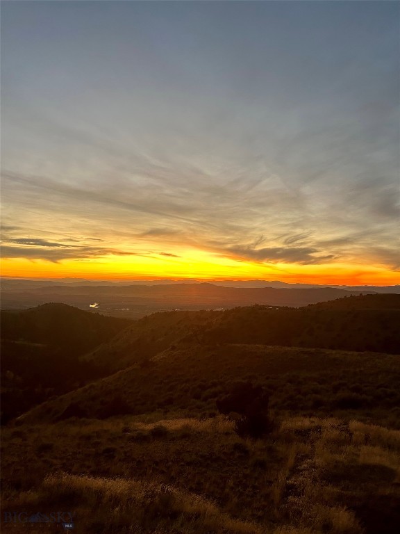 Ponderosa Pines - Residential