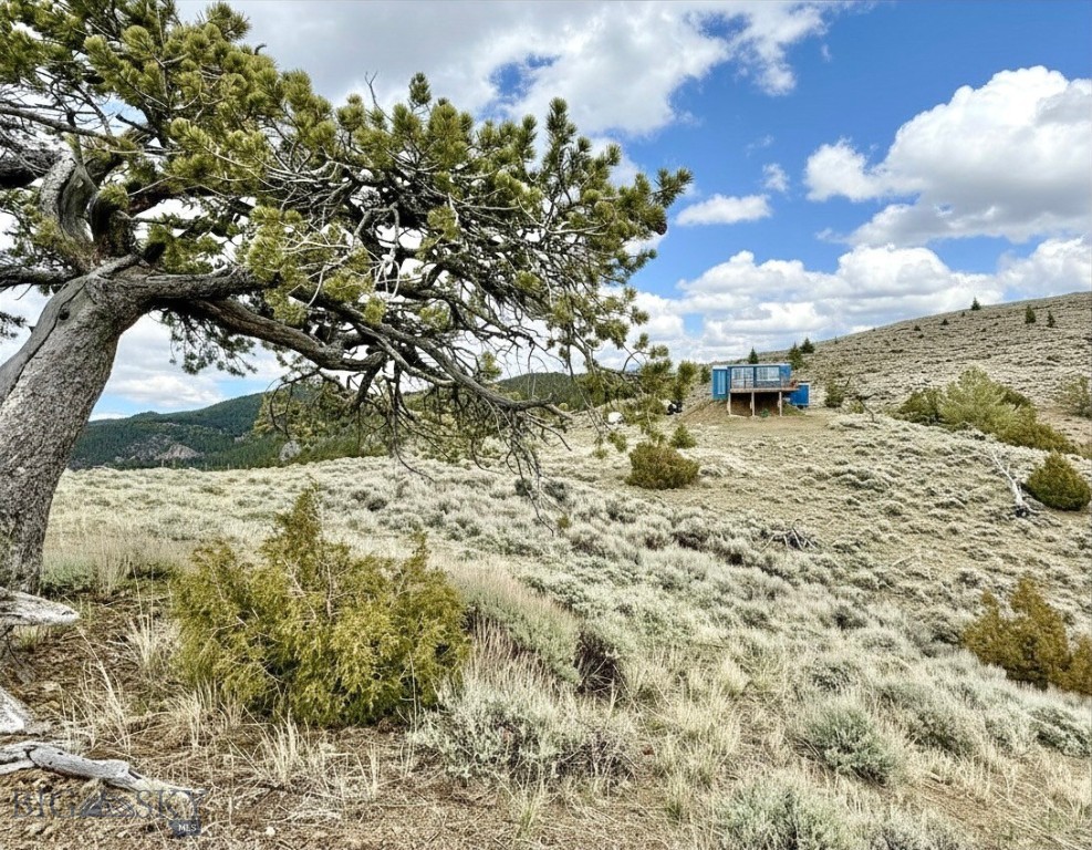 Ponderosa Pines - Residential