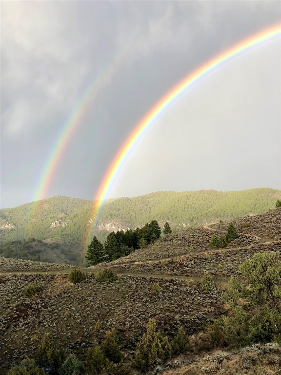 Ponderosa Pines - Residential