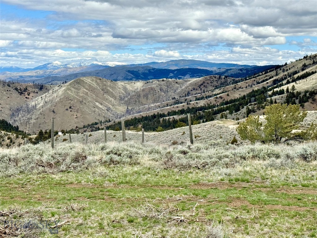 Ponderosa Pines - Residential