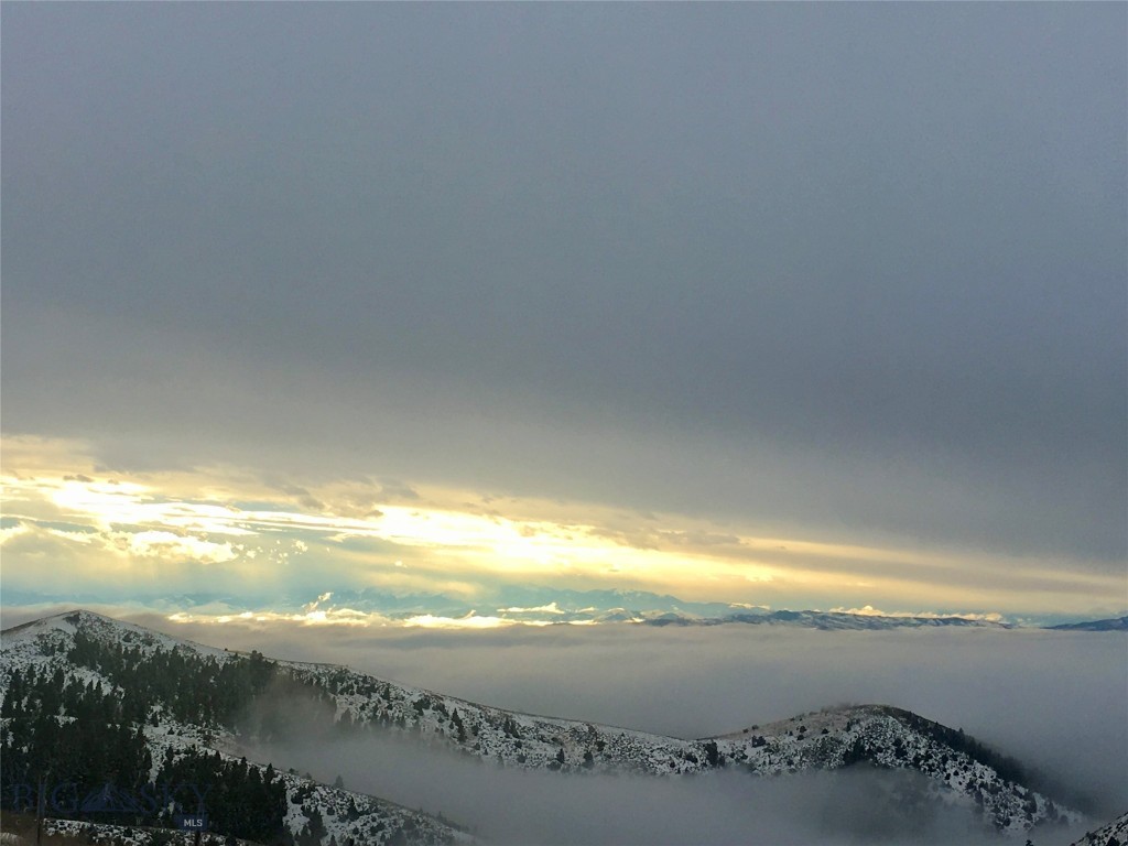 Ponderosa Pines - Residential